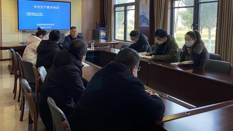 少儿编程网课：揭开优缺点的面纱