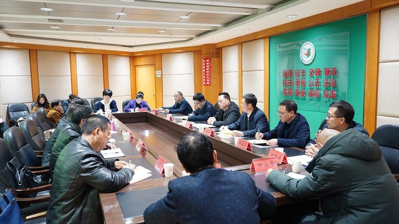 Scratch与少儿编程：探秘两者间的微妙差异