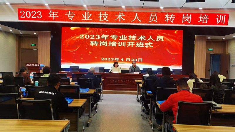 英语一对一网课：效果背后的秘密与考量
